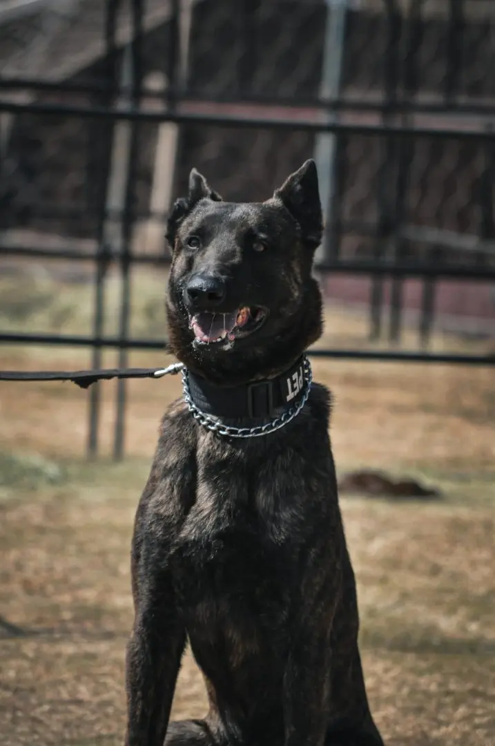 WhatsApp-Image-2025-08-24-at-14.57.27_13f1b90e-717x1080