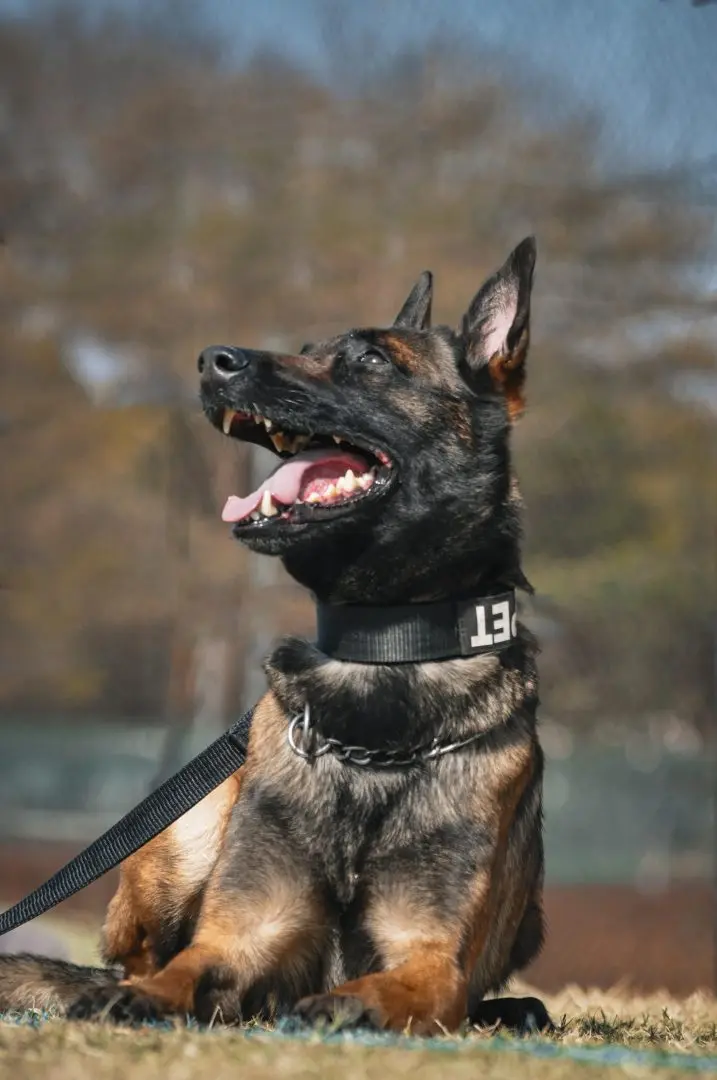 WhatsApp-Image-2025-08-24-at-14.57.31_1b5e3b70-717x1080