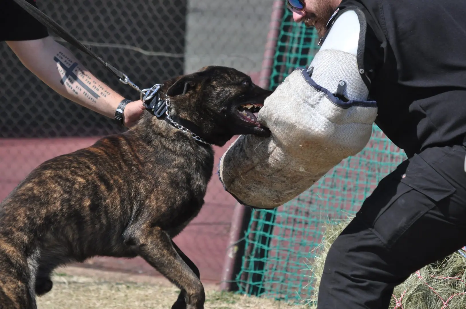 WhatsApp-Image-2025-08-24-at-15.00.19_85d01bef-1627x1080